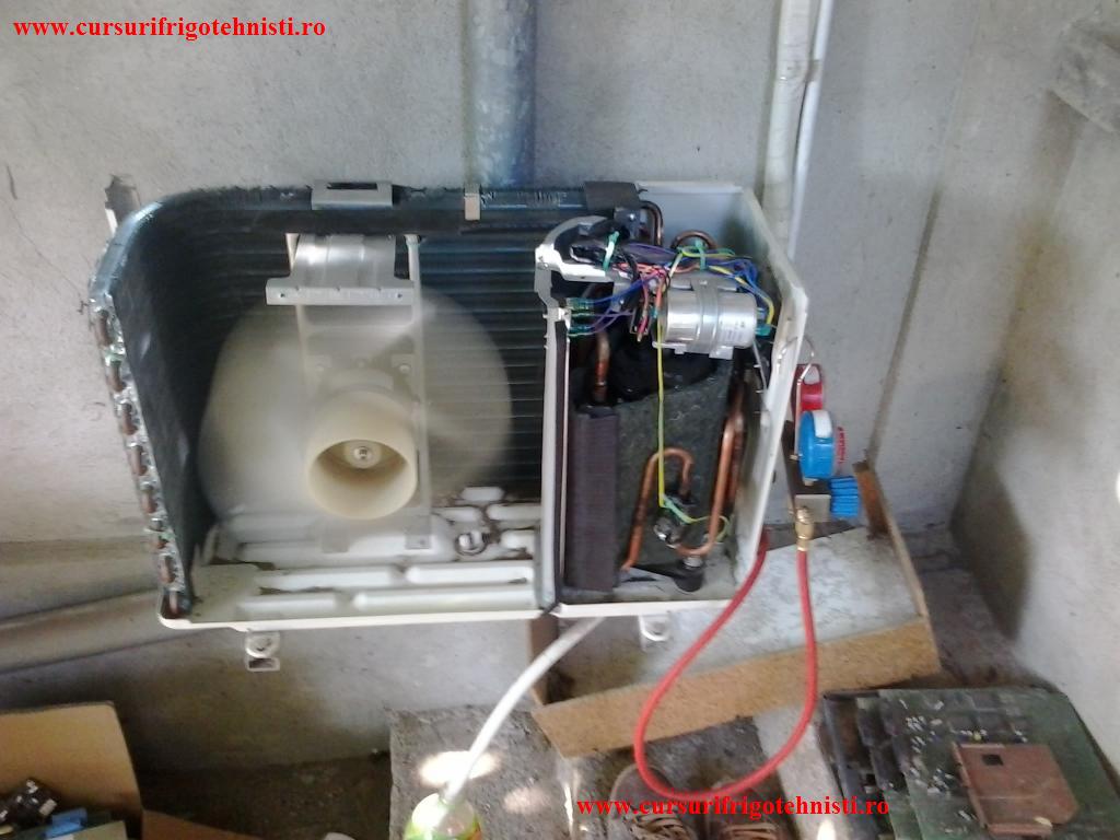 2014-08-13170155_zps7de7d13b Daniel 1.jpg