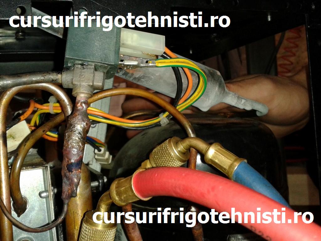 20150603_110134 (Custom).jpg