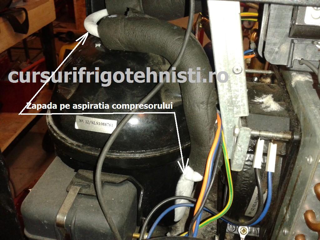 20150603_155011 (Custom).jpg