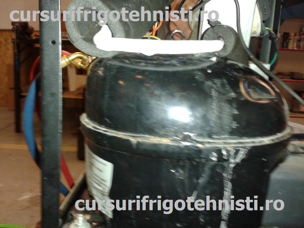 20150603_155045 (Custom).jpg