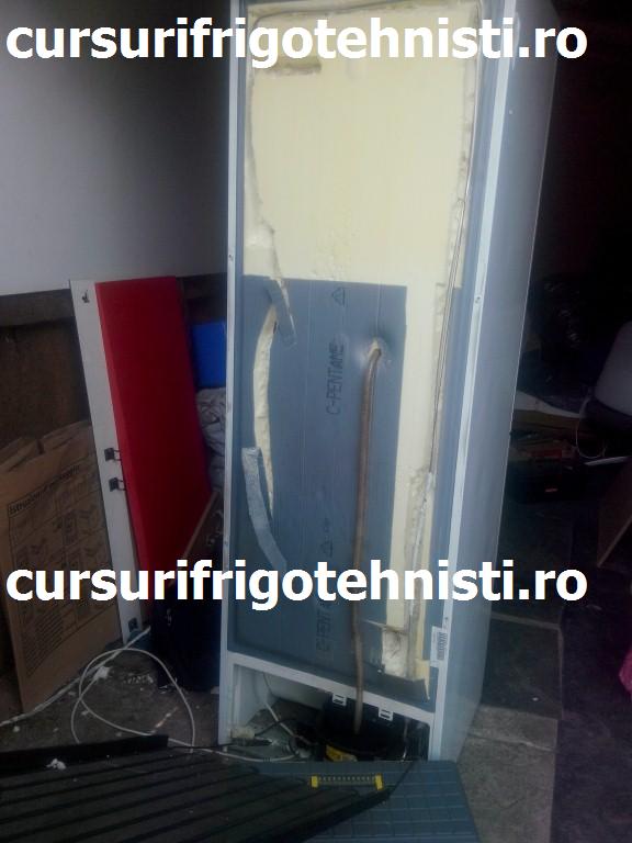 IMG_20150618_144302 (Custom).jpg