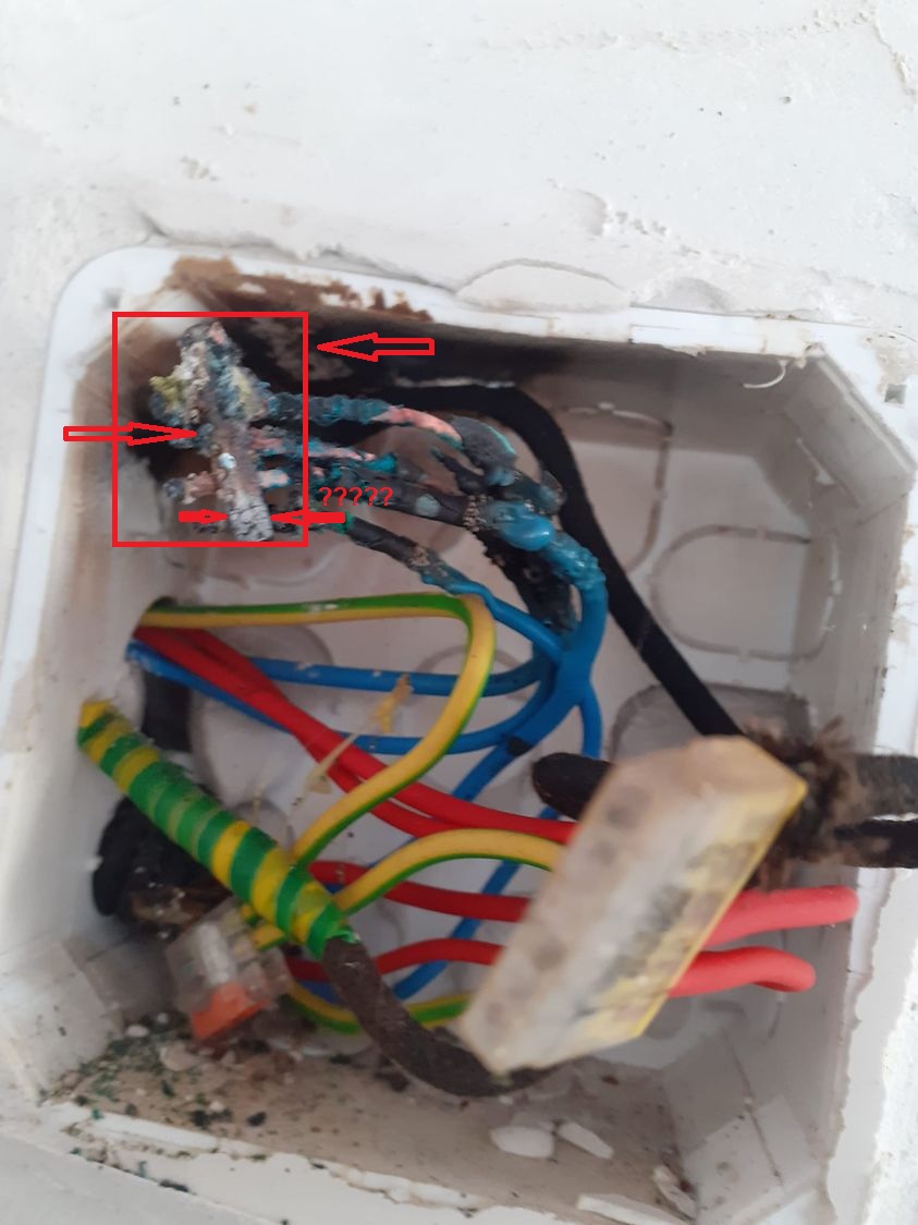 doza facuta de un agarici.jpg