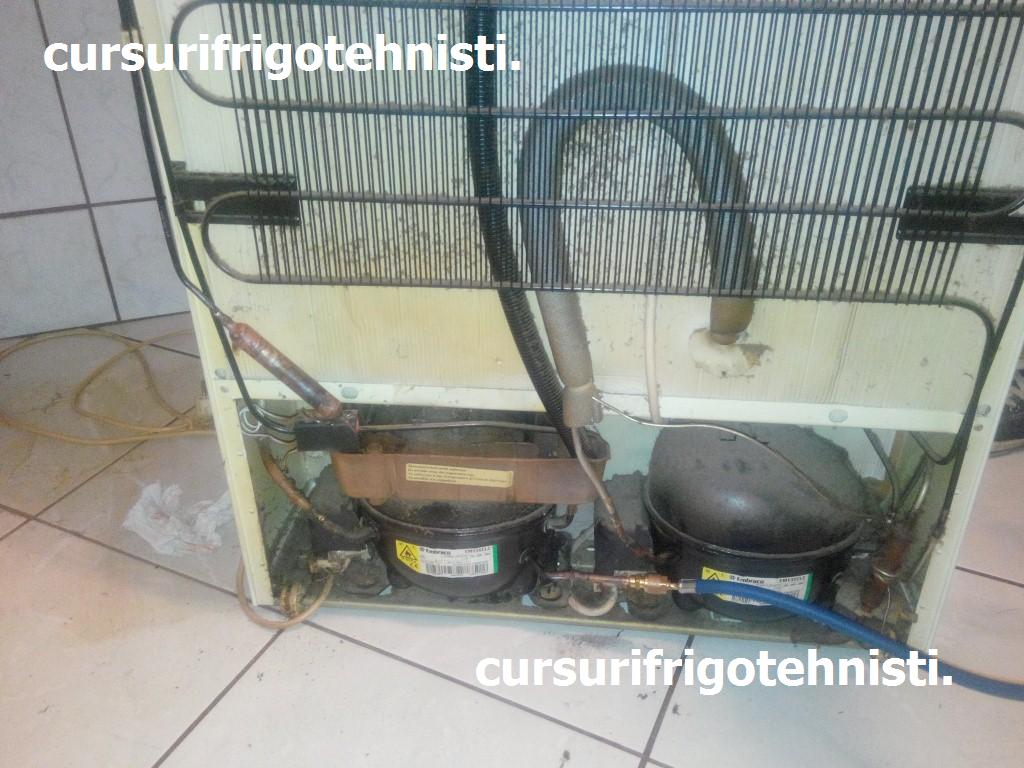 IMG_20150417_212552 (Custom).jpg