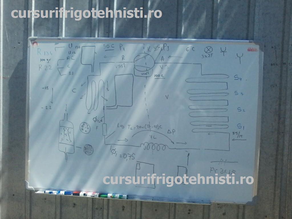 P24-06-15_11.35 (Custom).jpg