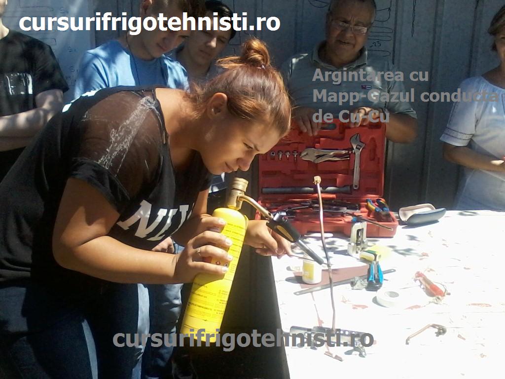 P24-06-15_11.45 (Custom).jpg