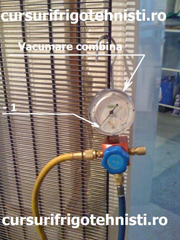 IMG_0218 (Custom).jpg