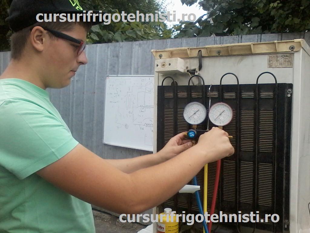 P01-07-15_10.09[01] (Custom).jpg