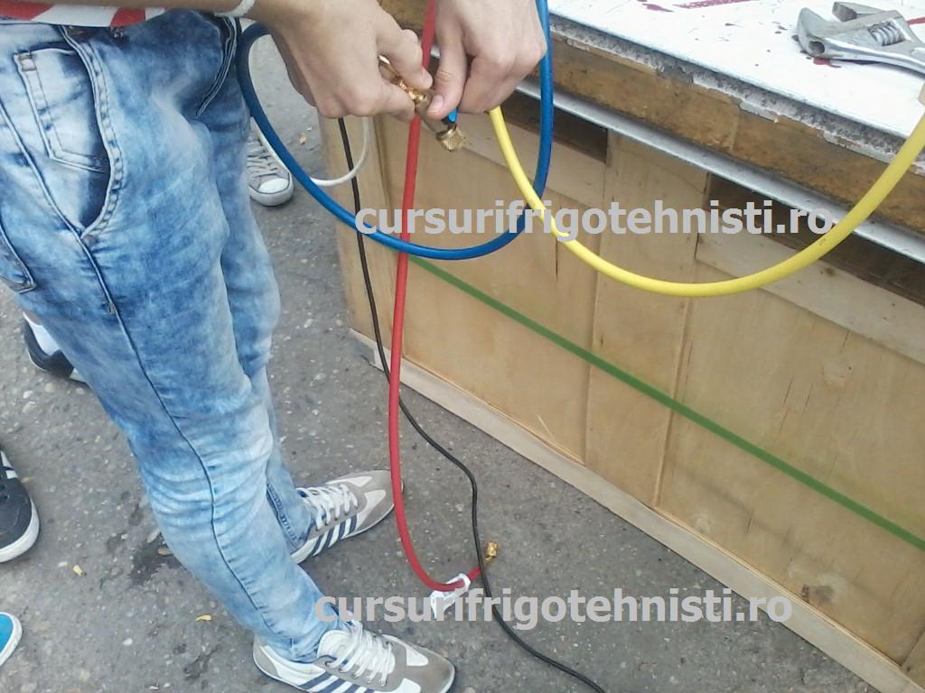 P01-07-15_10.24[01] (Custom).jpg