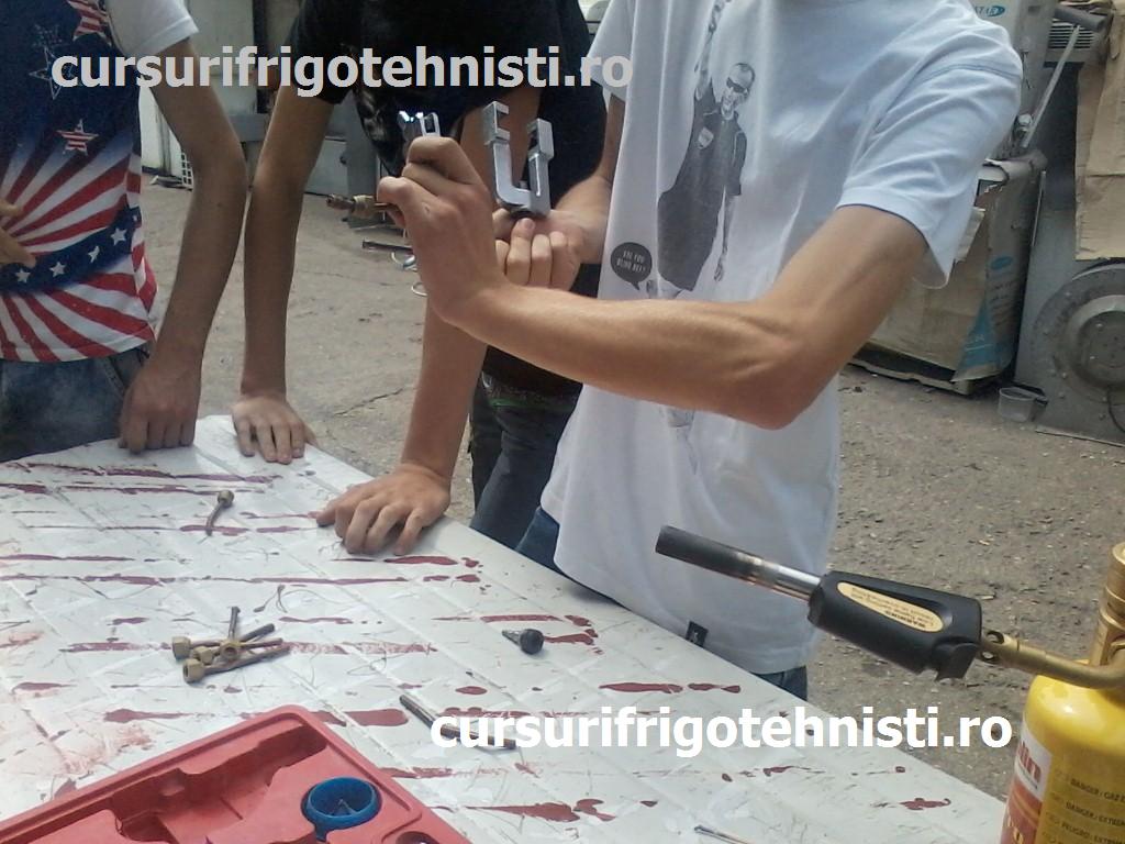 P01-07-15_11.11 (Custom).jpg