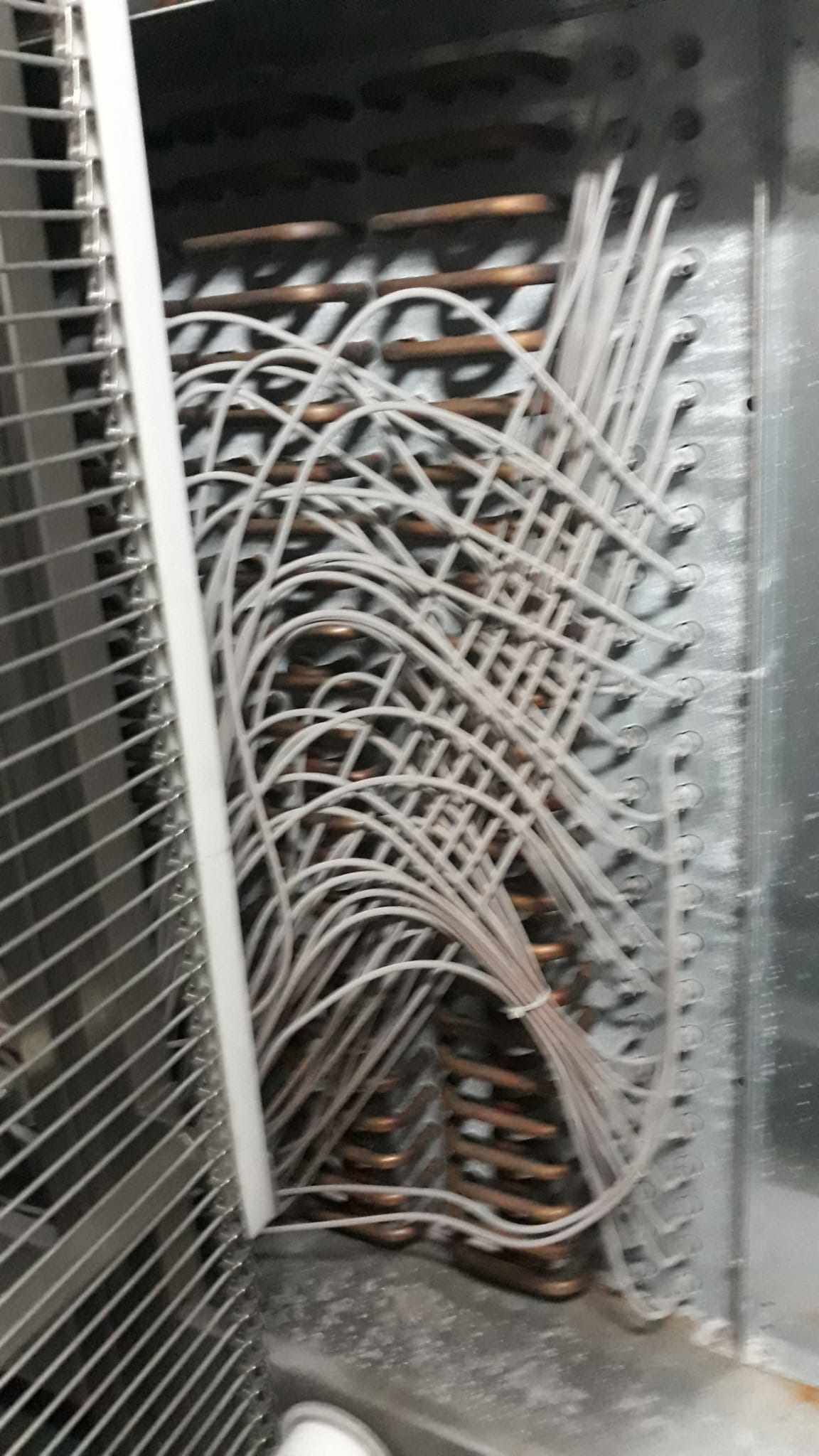 WhatsApp Image 2024-03-16 at 18.26.16.jpg