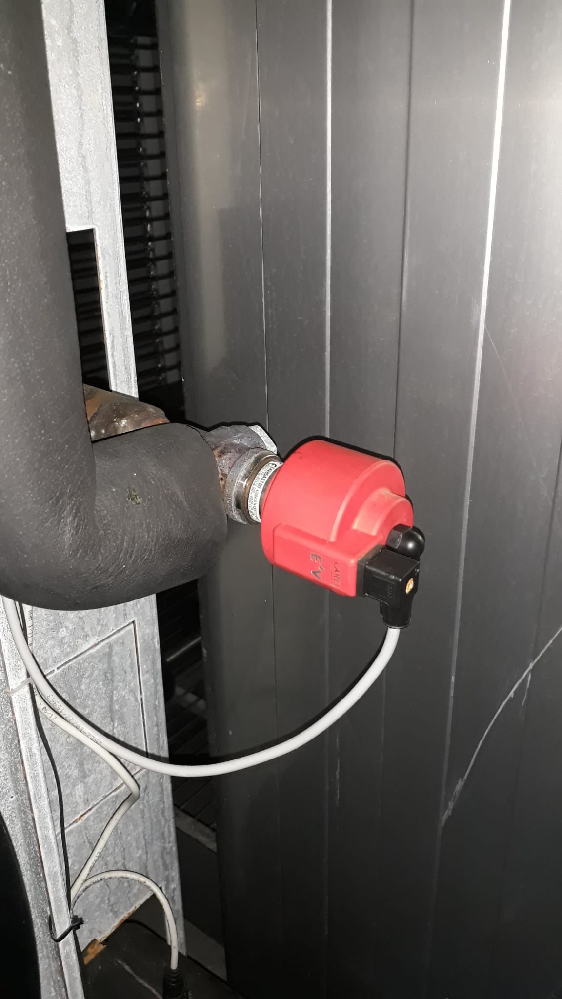 WhatsApp Image 2024-03-16 at 18.26.16 (1).jpg