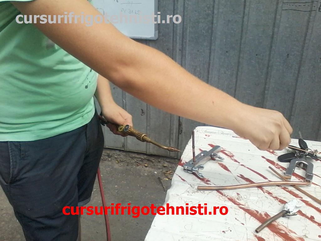 P01-07-15_11.31[02] (Custom).jpg