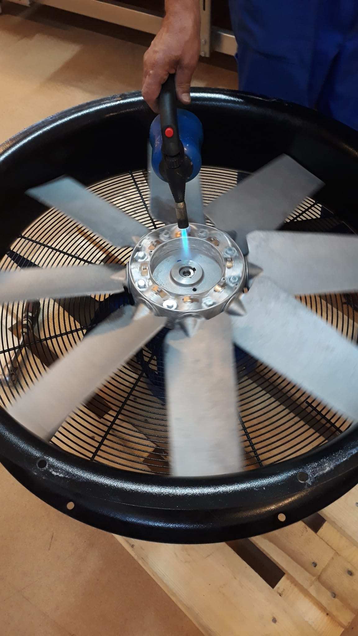 WhatsApp Image 2024-03-16 at 18.26.18 (1).jpg