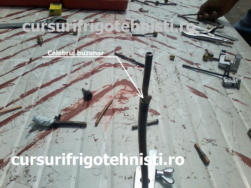 P01-07-15_11.57 (Custom).jpg