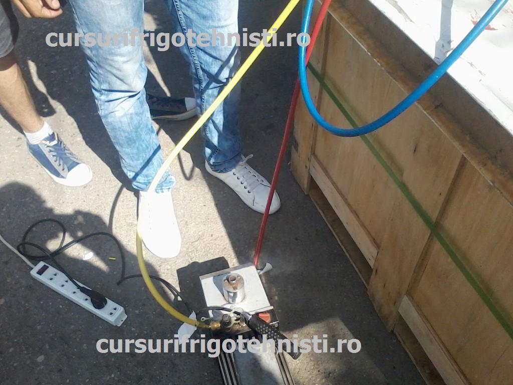 P02-07-15_10.15 (Custom).jpg