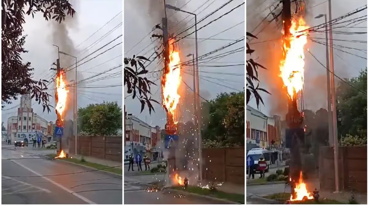 Incendiu la reteaua electrica aeriana.jpg
