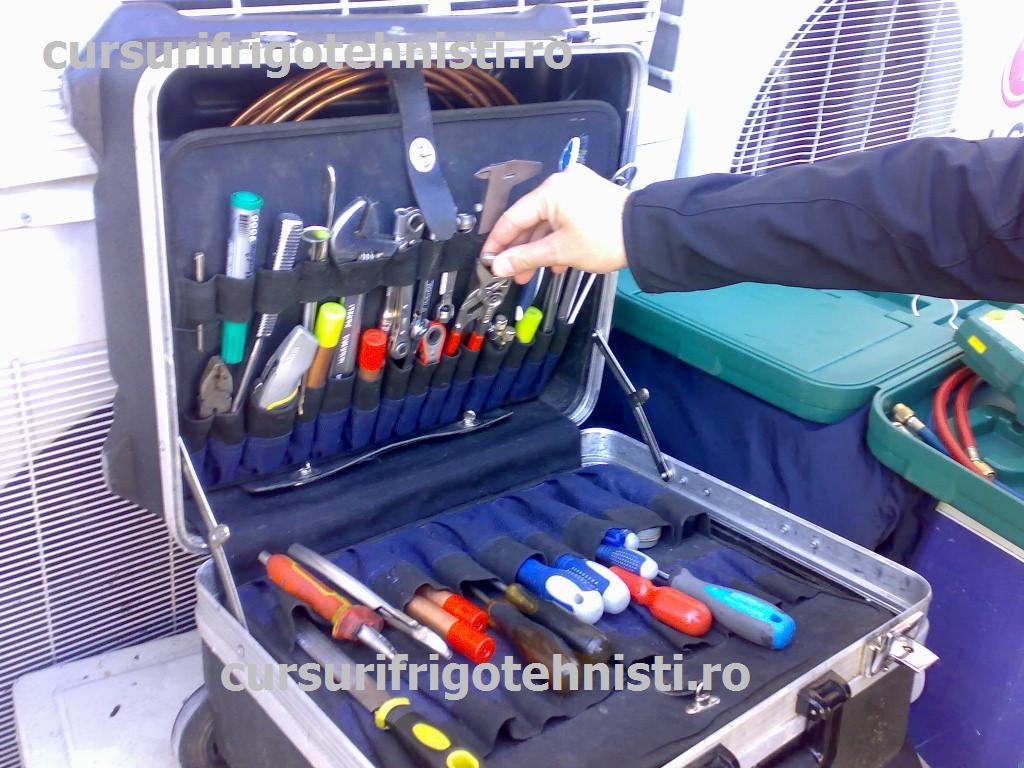 Scule d-l Dedi Freon Trading.jpg