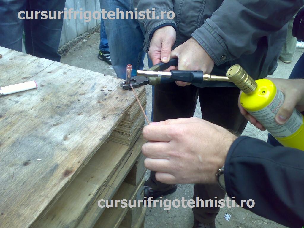 09102013213 (Custom).jpg