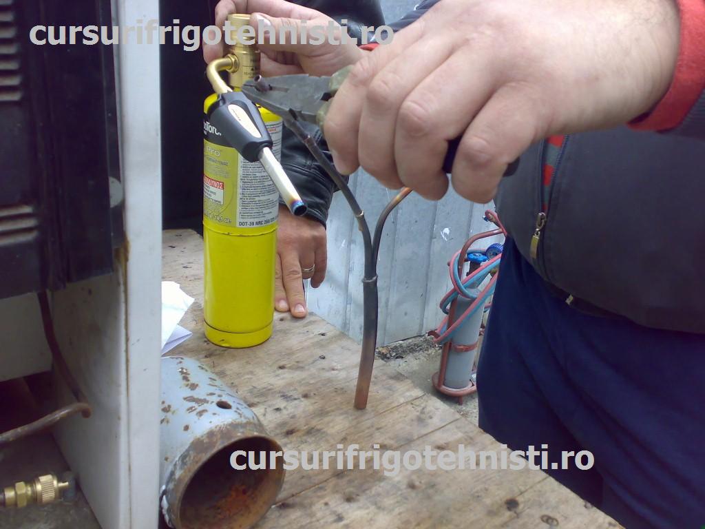 09102013217 (Custom).jpg