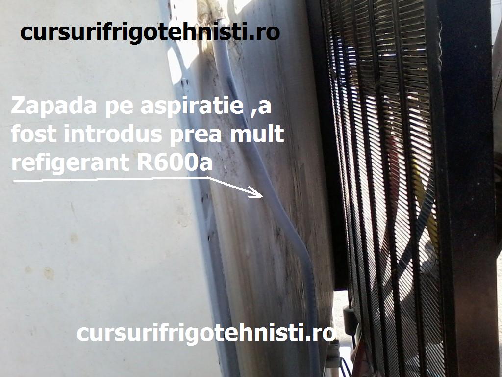 Frigider cu zapada pe aspiratie (Custom).JPG