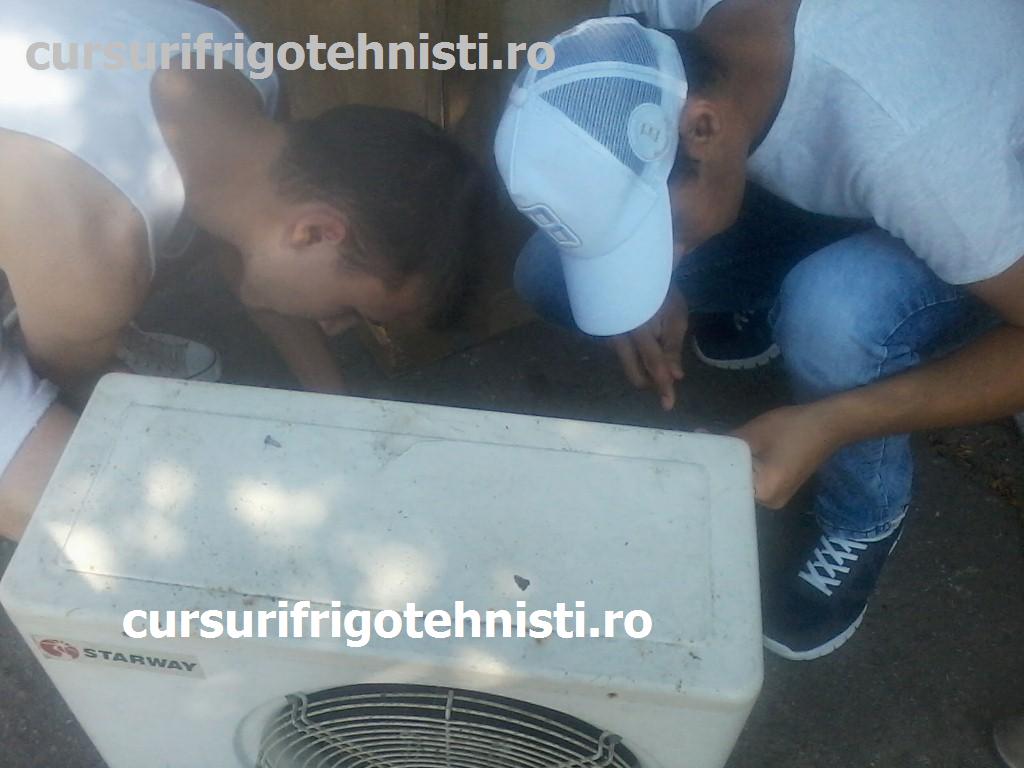 P08-07-15_09.59 (Custom).jpg