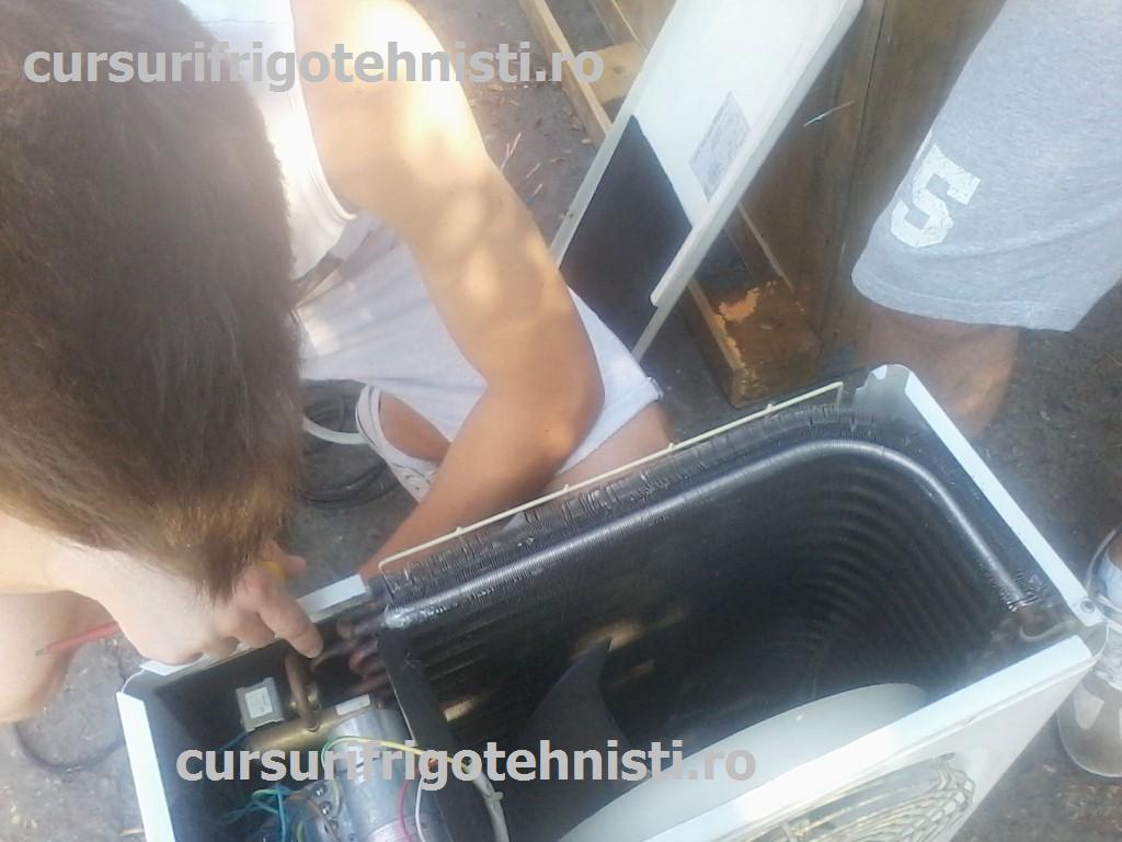 P08-07-15_10.06 (Custom).jpg