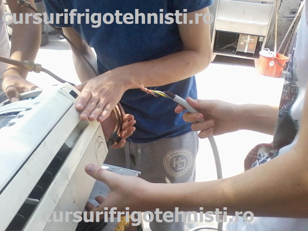 P08-07-15_10.21 (Custom).jpg