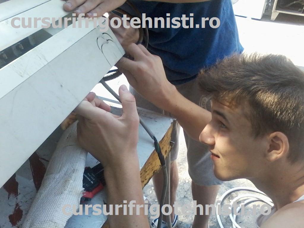 P08-07-15_10.21[01] (Custom).jpg