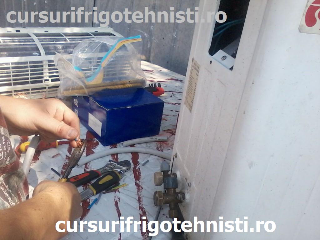 P08-07-15_10.43 (Custom).jpg