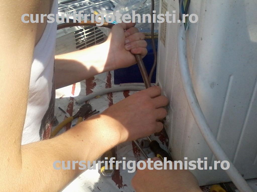 P08-07-15_11.01 (Custom).jpg