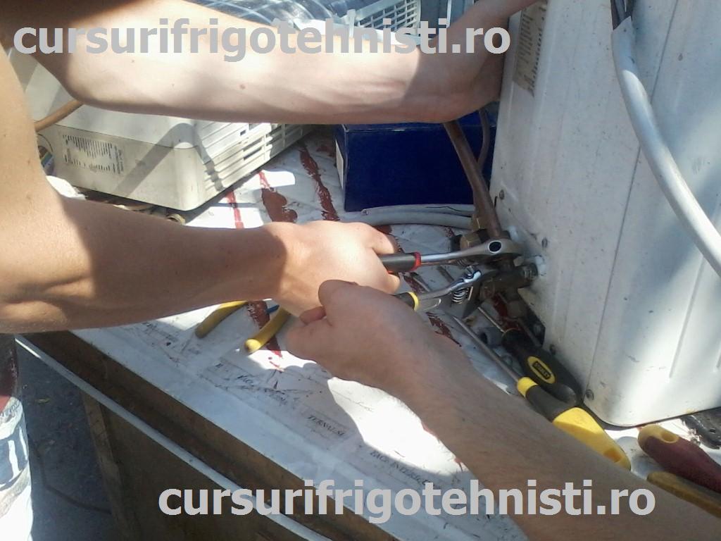 P08-07-15_11.02 (Custom).jpg