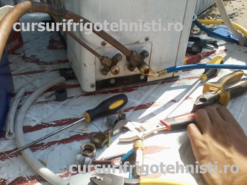 P08-07-15_11.09 (Custom).jpg