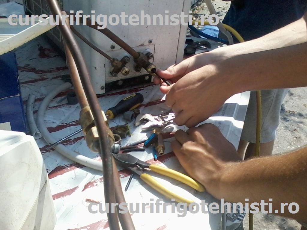 P08-07-15_11.10[01] (Custom).jpg