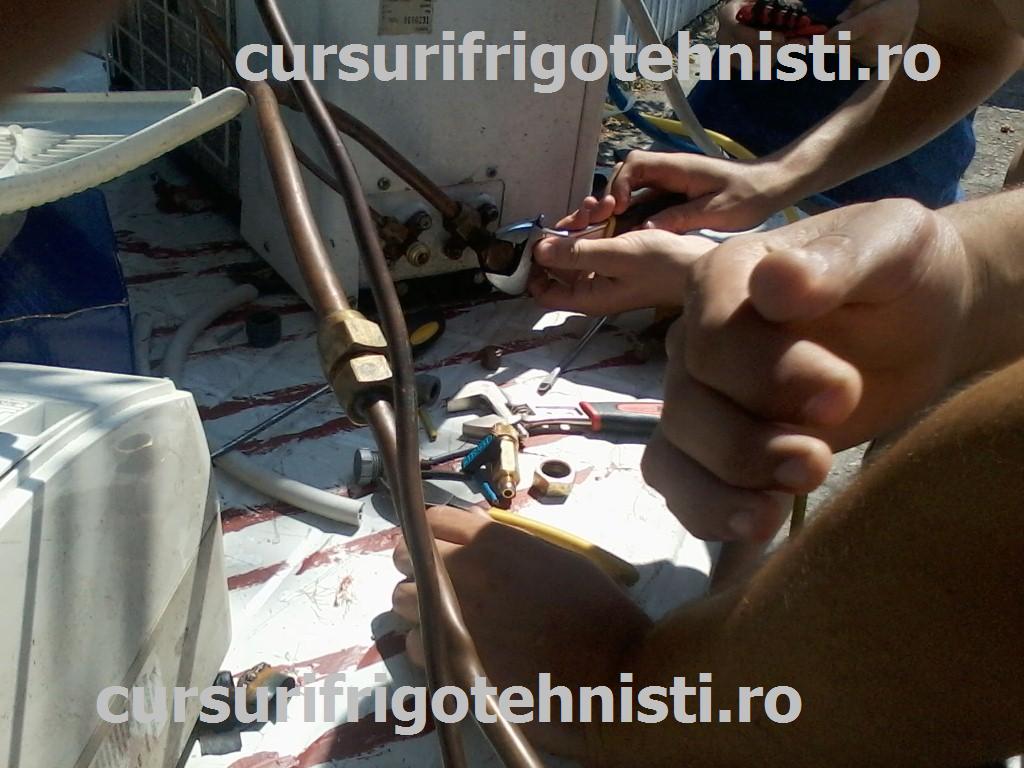 P08-07-15_11.10[03] (Custom).jpg