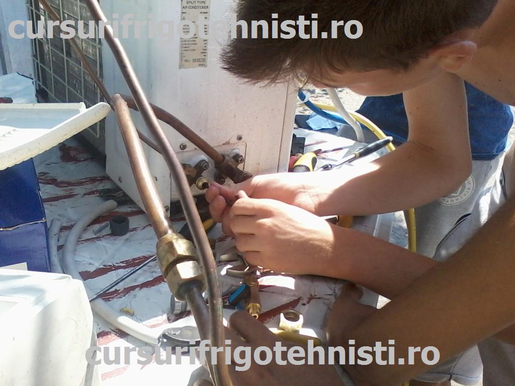 P08-07-15_11.11 (Custom).jpg