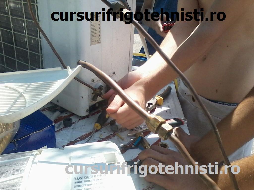 P08-07-15_11.11[01] (Custom).jpg