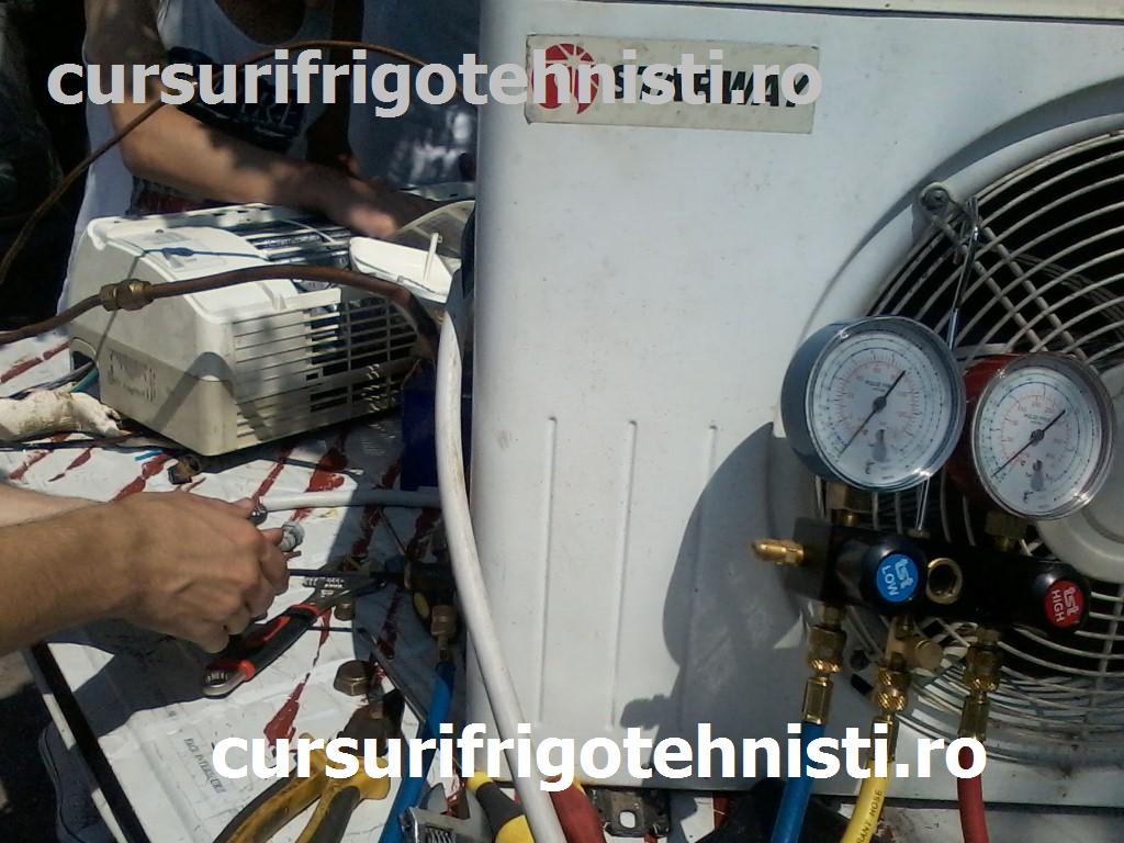 P08-07-15_11.25[01] (Custom).jpg