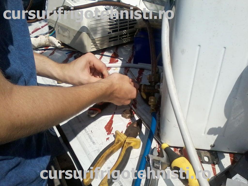 P08-07-15_11.25[02] (Custom).jpg