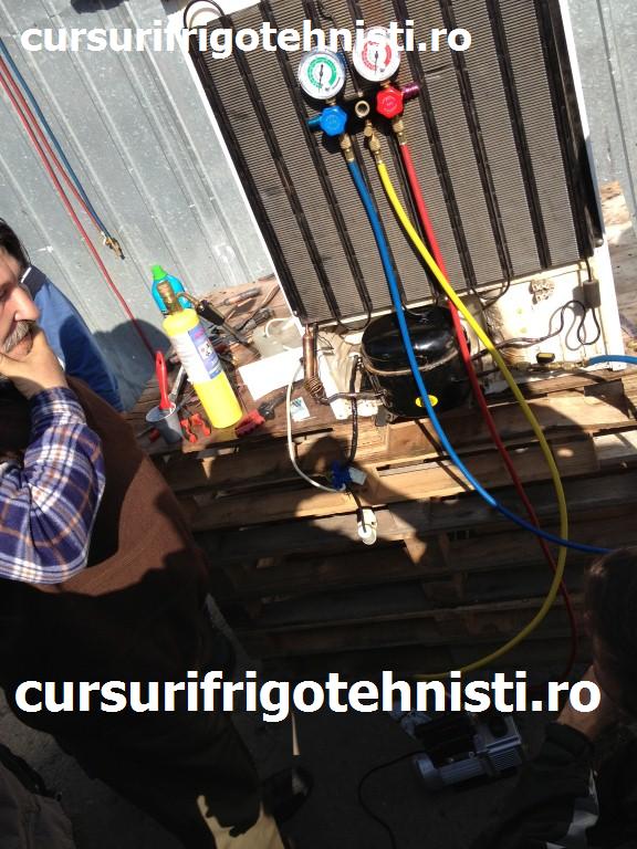 IMG_1902 (Custom).JPG