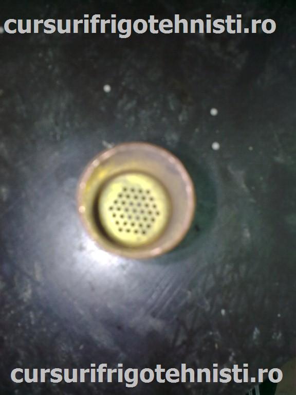 Image0305 (Custom).jpg