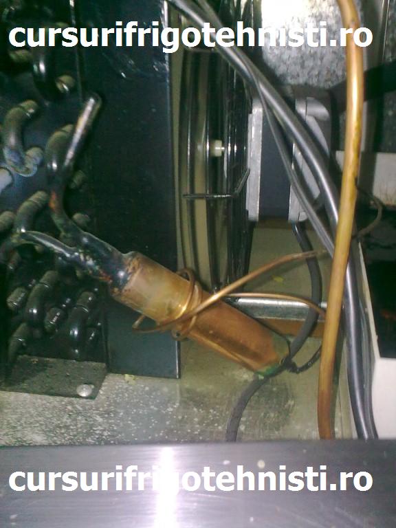 Image0333 (Custom).jpg