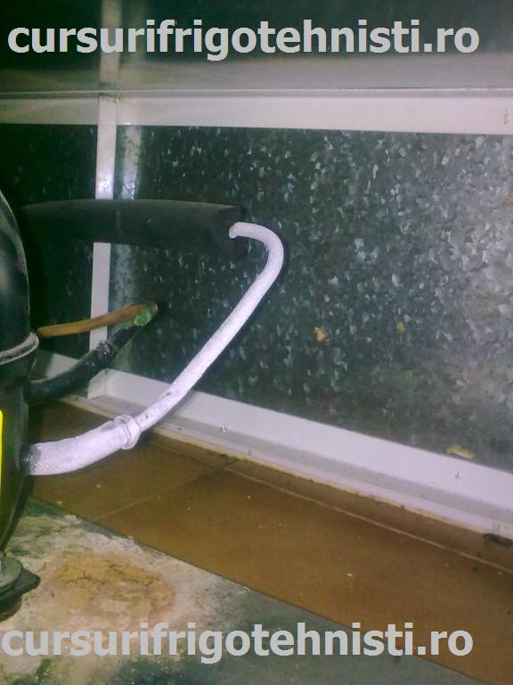 Image0335 (Custom).jpg