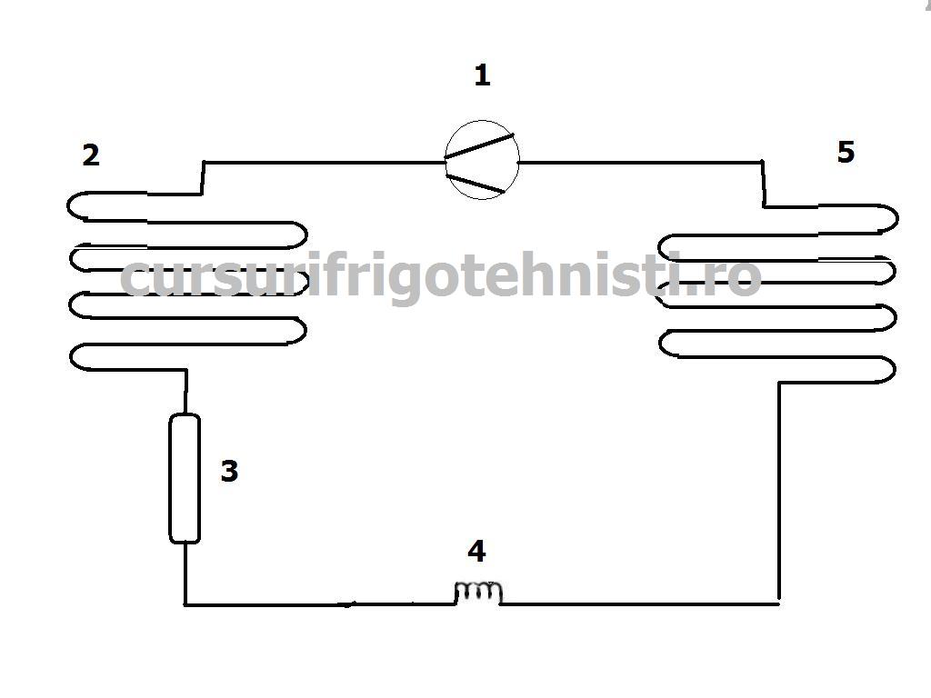 sch mas frigorifica.jpg