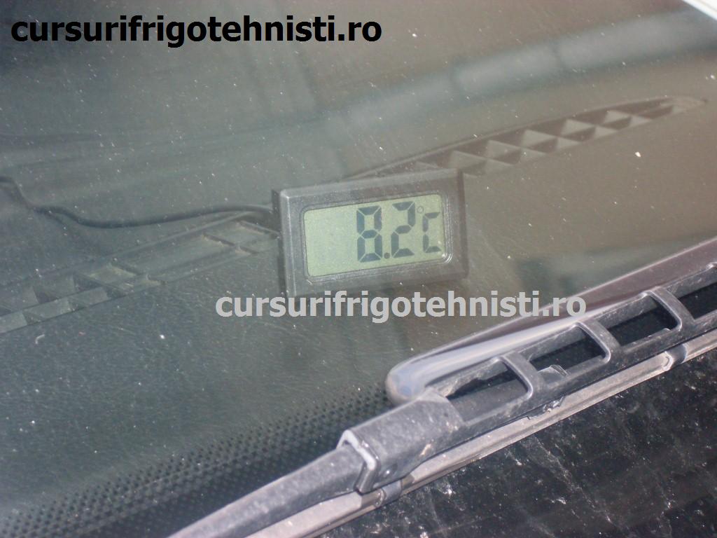 SDC12271 (Custom).JPG