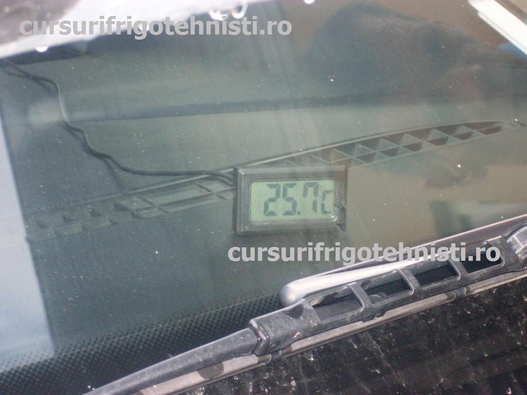 SDC12270 (Custom).JPG