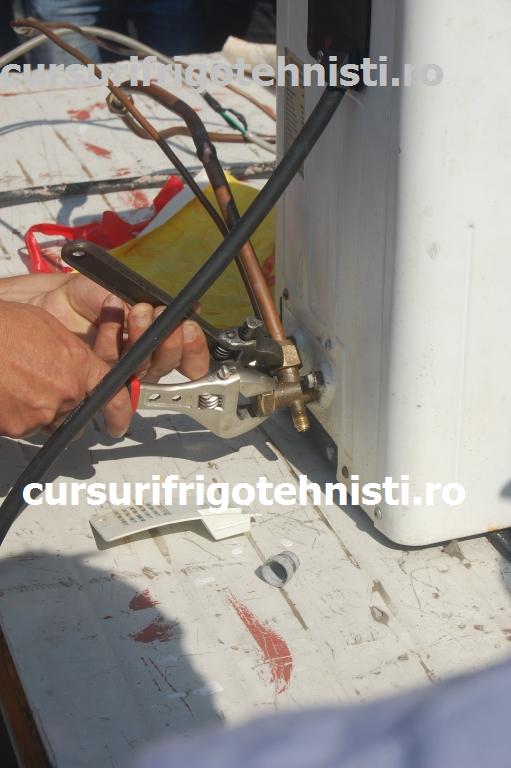 DSC_2408 (Custom).JPG