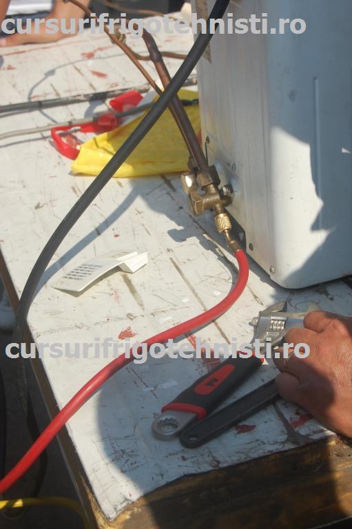 DSC_2410 (Custom).JPG