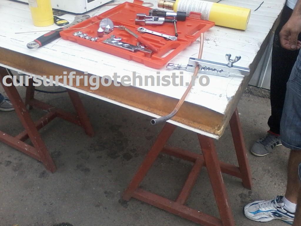 P19 iunie.JPG