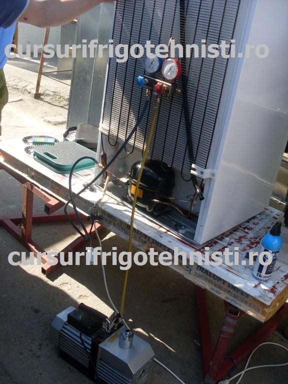 SDC10959 (Custom).JPG