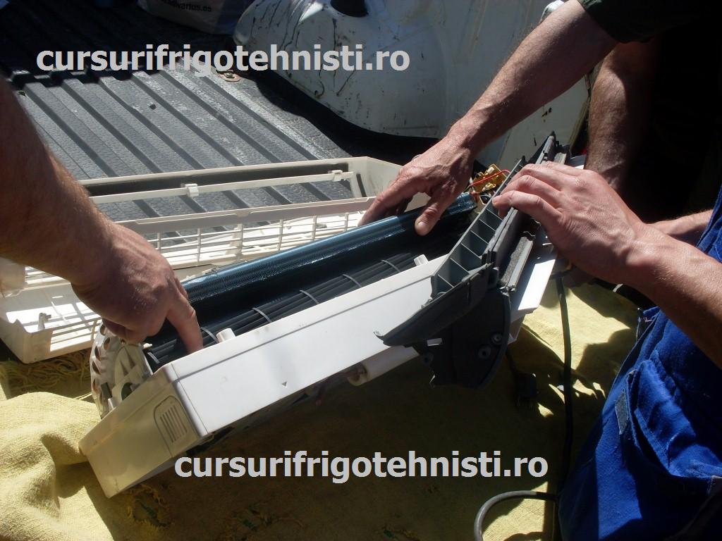 SDC10964 (Custom).JPG